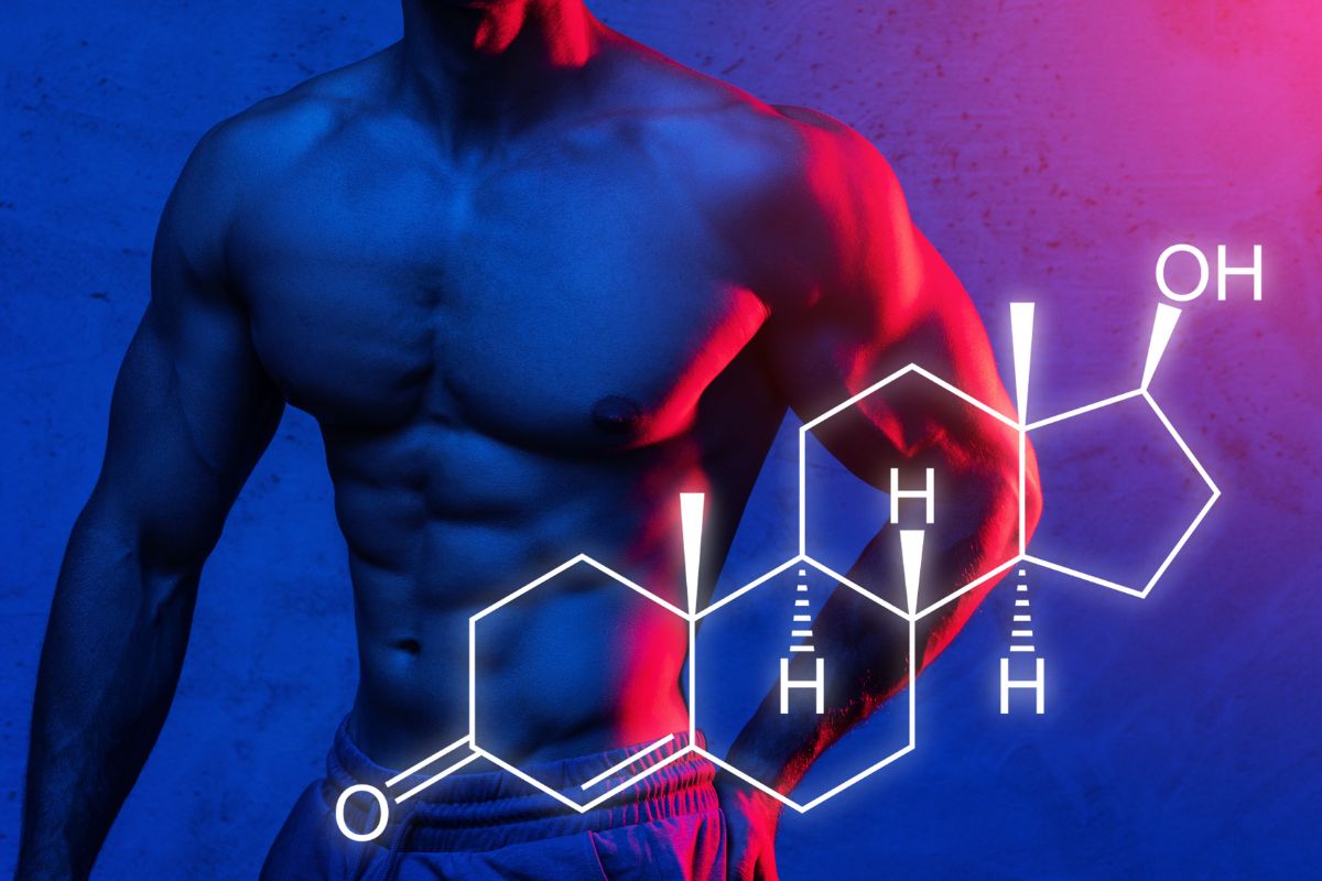 ¿Qué son los SARMs y cómo ayudan a mejorar la masa muscular?